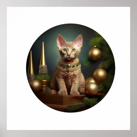 Poster Peterbald Kitten En Cadre De Noël (Devant)