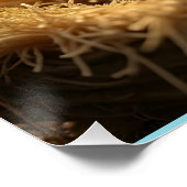 POSTER PETIT AGNEAU DANS UNE MANGER (Coin)