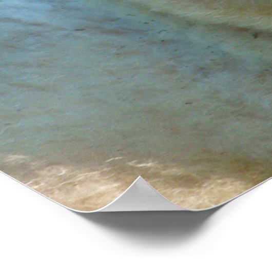 POSTER PETIT AGNEAU MIGNON (Coin)