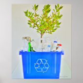 Poster Petit arbre (Devant)