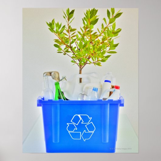 Poster Petit arbre (Devant)