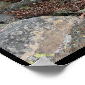 Poster Petit arbre (Coin)