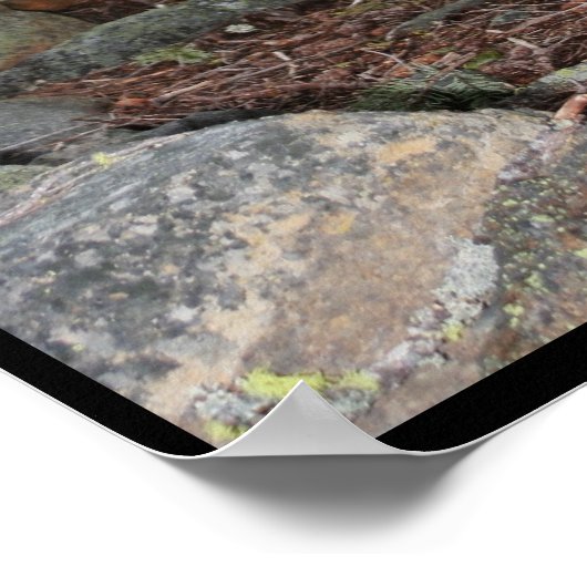 Poster Petit arbre (Coin)