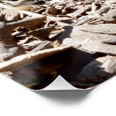 Poster Petit bébé Meerkat, (Coin)