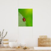Poster Petit Bug Lady (Cuisine)