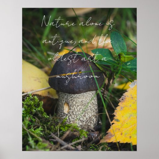 Poster Petit champignon mignon (Devant)