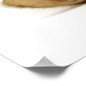 POSTER PETIT CHAT (Coin)