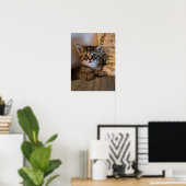Poster Petit chaton (Bureau à domicile)
