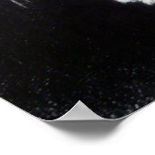 Poster Petit chaton blanc Dessin animal Amoureux de les c (Coin)