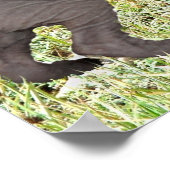 Poster petit chaton sphynx gris voit un éléphant (Coin)