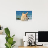 Poster Petit Chien Avec Fourrure Salée Vue Sur La Plage (Bureau à domicile)