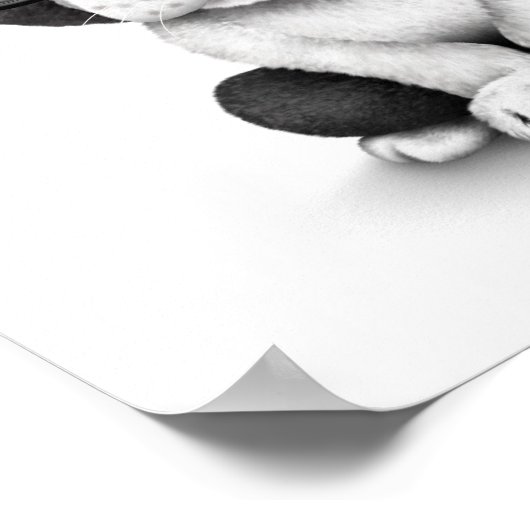 Poster Petit Chien-chien français Chien-chien avec lunett (Coin)