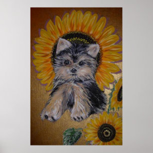 Poster Petit chien mignon et tournesols