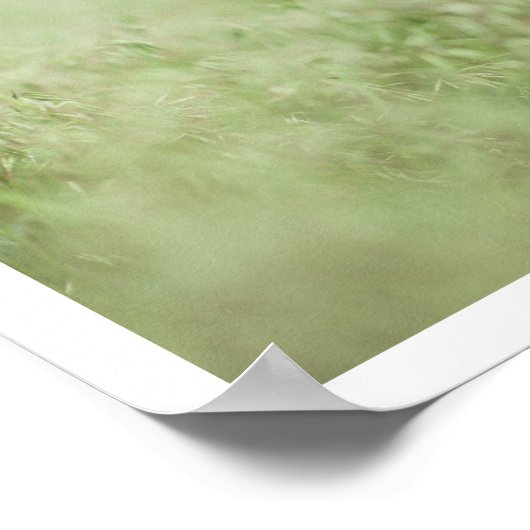 Poster Petit chiot (Coin)