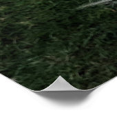 Poster Petit chiot avec rubans (Coin)