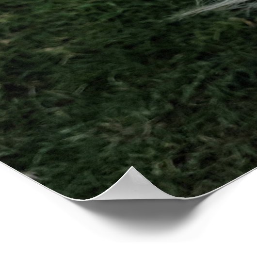 Poster Petit chiot avec rubans (Coin)