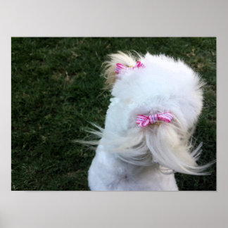 Poster Petit chiot avec rubans