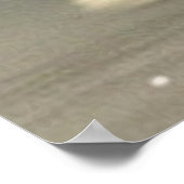 Poster Petit chiot mignon chien brun et blanc (Coin)