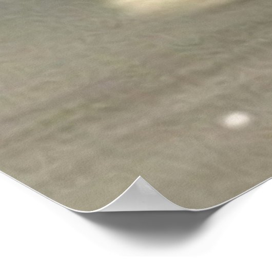 Poster Petit chiot mignon chien brun et blanc (Coin)