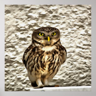 Poster Petit Chouette Brown Portrait Artistique