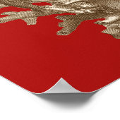 Poster Petit corail en rouge (Coin)