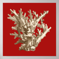 Petit corail en rouge