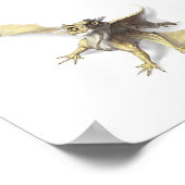 Poster Petit dragon (Coin)