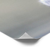 Poster Petit écureuil gris doux et souple (Coin)