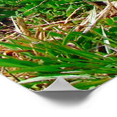 Poster Petit endroit (Coin)