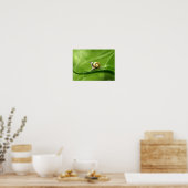 Poster Petit Escargot de dessin en pluie (Cuisine)