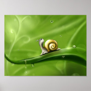 Poster Petit Escargot de dessin en pluie