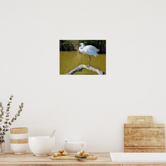 Poster Petit feu perché sur la branche (Cuisine)