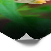 Poster Petit Fleur sauvage de bois blanc gros gros (Coin)