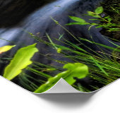 Poster Petit flux (Coin)