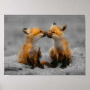 Poster Petit Fox Love