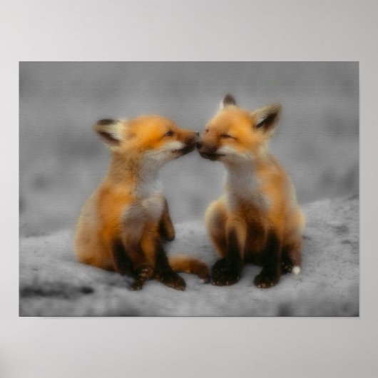 Poster Petit Fox Love (Devant)