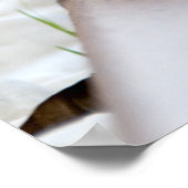 Poster Petit hérisson (Coin)