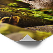 Poster Petit Hérisson mignon dans la forêt (Coin)