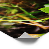 Poster Petit Hérisson mignon dans la forêt (Coin)