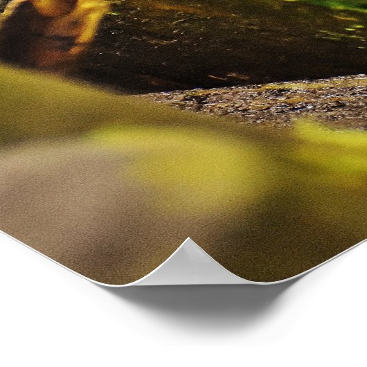 Poster Petit Hérisson mignon dans la forêt (Coin)