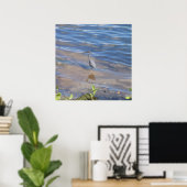 Poster Petit héron bleu (Bureau à domicile)