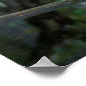 Poster Petit héron bleu dans le marais Cypress (Coin)