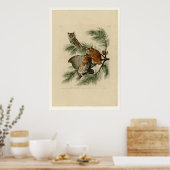 Poster Petit hibou à crâne (Cuisine)