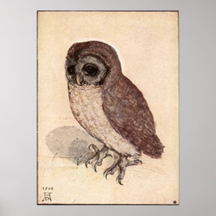 Poster Petit hibou d'Albrecht Durer