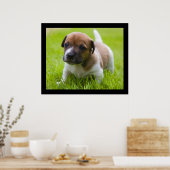 Poster Petit Jack (Cuisine)