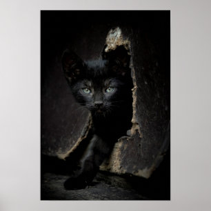 Poster Petit Kitty noir