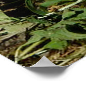 Poster Petit lapin moelleux (Coin)