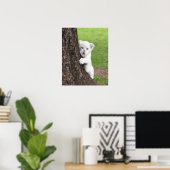 Poster Petit lion blanc caché derrière un arbre. (Bureau à domicile)