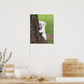 Poster Petit lion blanc caché derrière un arbre. (Cuisine)