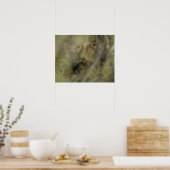 Poster Petit loup gris (Canis lupus) seul, caché dans (Cuisine)